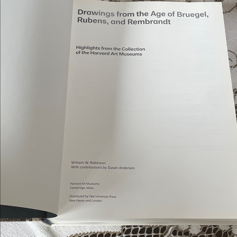 Hardcover- Drawings from the Age of Bruegel, Rubens, and Rembrandt Heavy New - Picture 2 of 14